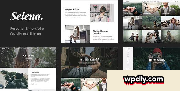 selena-v103---multipirpose-wordpress-theme