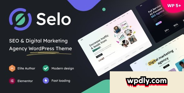 selo-v122---seo-amp-digital-marketing-agency-wordpress-theme