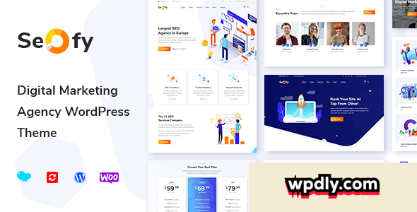 seofy-v123---digital-marketing-agency-wordpress-theme
