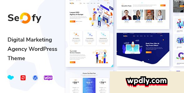 seofy-v169---digital-marketing-agency-wordpress-theme