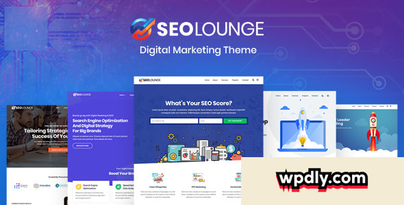 seolounge-v113---seo-agency-wordpress-theme