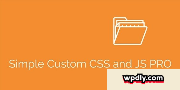 simple-custom-css-and-js-pro-v424