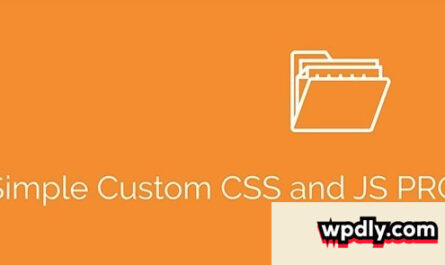 simple-custom-css-and-js-pro-v436