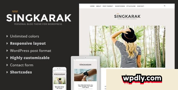 singkarak-v108---responsive-wordpress-blog-theme