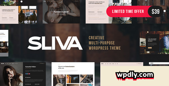 sliva-v10---responsive-multi-purpose-theme
