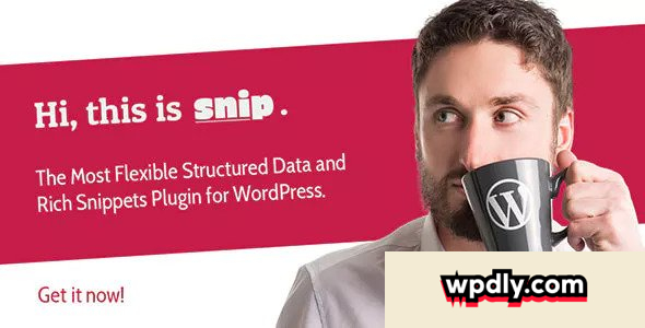 snip-v2120---structured-data-plugin-for-wordpress
