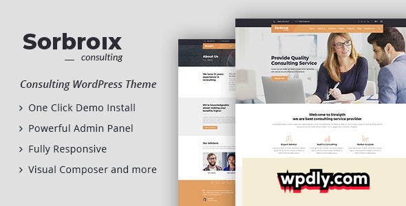 sorbroix-v10---business-consulting-wordpress-theme