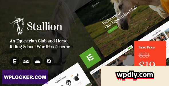 stallion-v10---an-equestrian-club-and-horse-riding-school-wordpess-theme