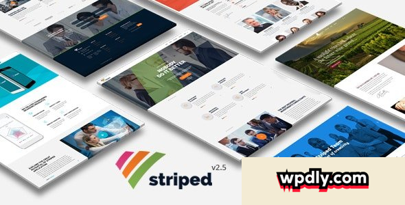 striped-v25---multipurpose-business-and-corporate-theme