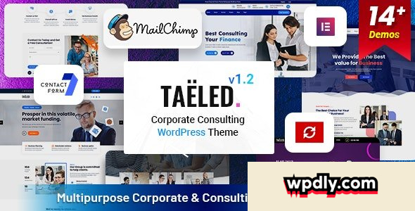 taeled-v12---business-consulting