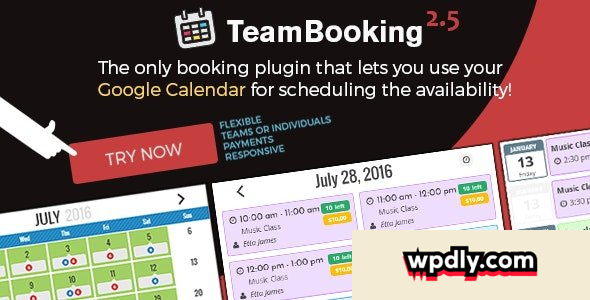 team-booking-v258---wordpress-booking-system