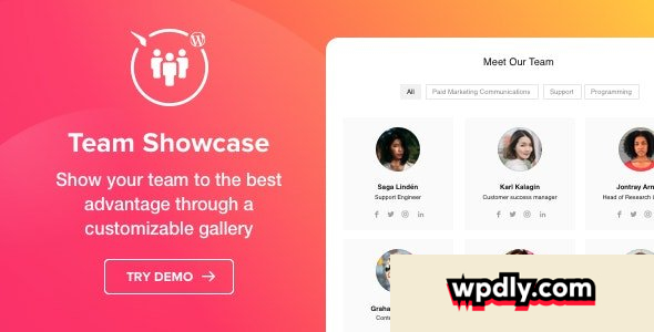 team-showcase-v130---wordpress-team-showcase-plugin