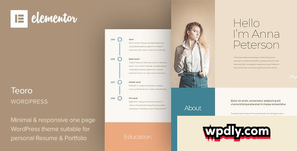 teoro-v10---cv-resume-wordpress-theme
