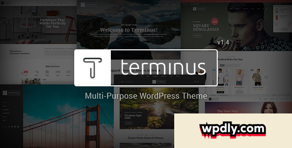 terminus-v144---responsive-multi-purpose-wordpress-theme