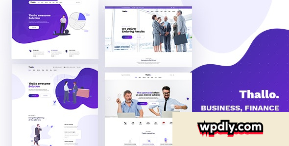 thallo-v111---consulting-amp-finance-wordpress-theme