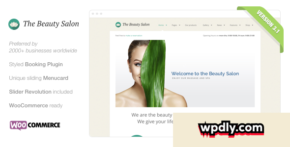 the-beauty-salon-v31---premium-wordpress-theme