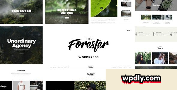 the-forester-v142---wordpress-minimalist-portfolio-theme