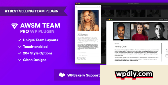 the-team-pro-v122---team-showcase-wordpress-plugin