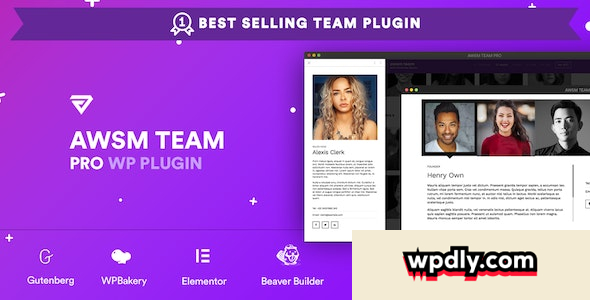 the-team-pro-v161---team-showcase-wordpress-plugin