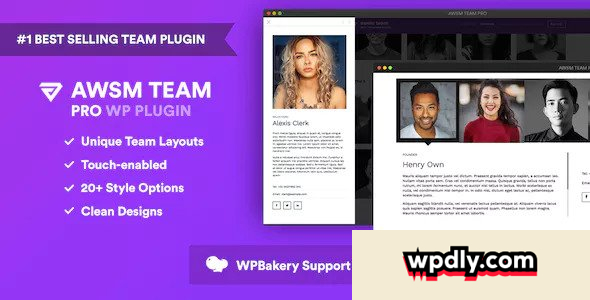 the-team-pro-v191---team-showcase-wordpress-plugin
