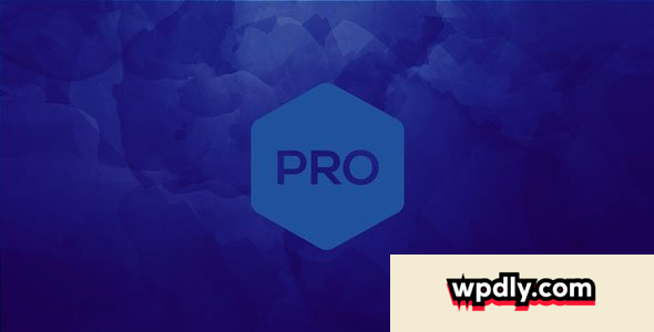 themeco---pro-v323---wordpress-theme
