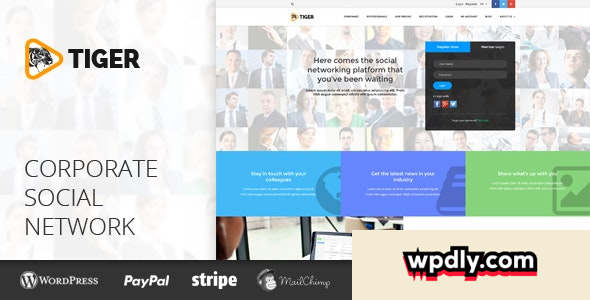 tiger-v10118--social-network-theme-for-companies-amp-professionals