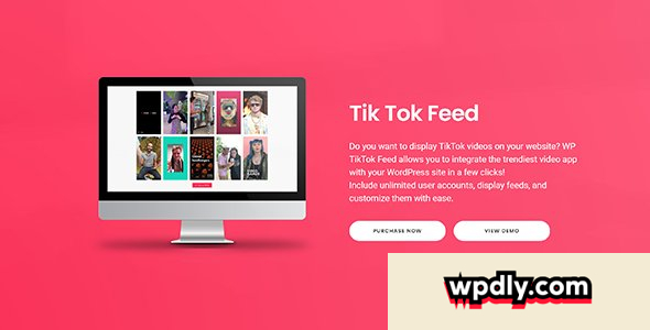 tiktok-feed-pro-v424