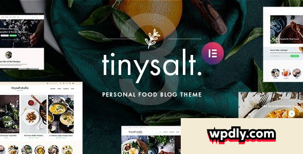 tinysalt-v320---personal-food-blog-wordpress-theme
