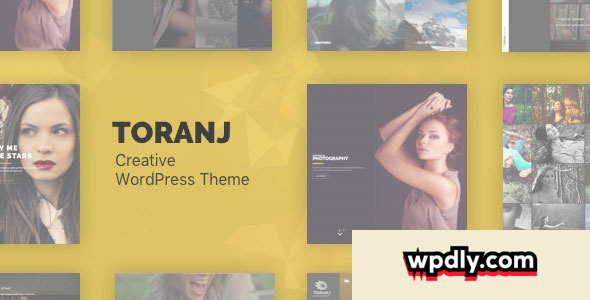 toranj-v1220---responsive-creative-wordpress-theme