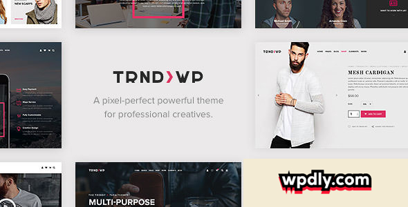 trendy-v165---creative-multi-purpose-wordpress-theme
