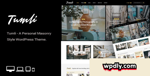tumli-v21---a-personal-masonry-style-wordpress-theme