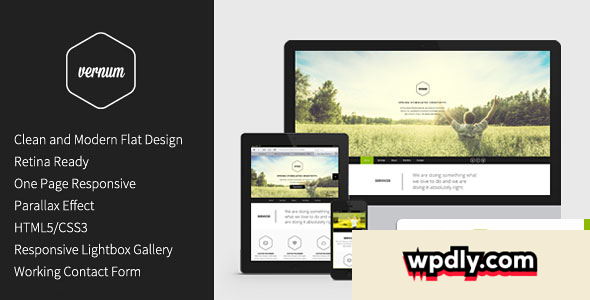 vernum-v30---responsive-onepage-parallax-theme