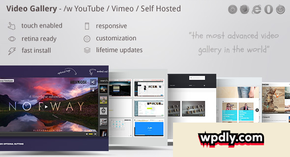 video-gallery-wordpress-plugin-w-youtube-vimeo-v1166