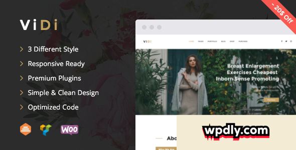 vidi-v111---multi-purpose-corporate-wordpress-theme