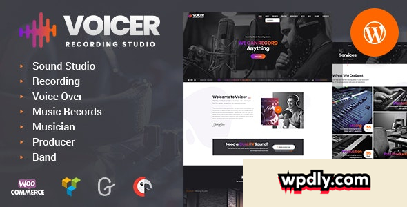 voicer-v10---recording-studio-wordpress-theme