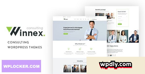 winnex-v111---business-consulting-wordpress-themes