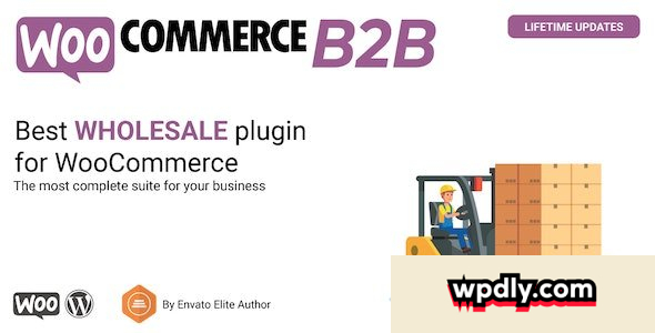 woocommerce-b2b-v307