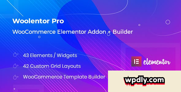 woolentor-pro-v110--woocommerce-elementor-addons--builder