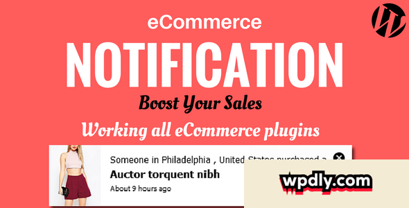 wordpress-ecommerce-notification-v1063