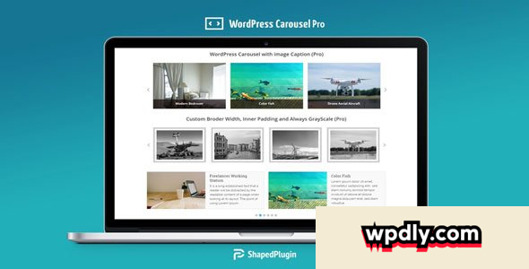 wp-carousel-pro-v410