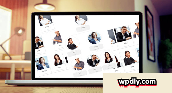 wp-team-display-v1321---the-organization-chart-wordpress-plugin